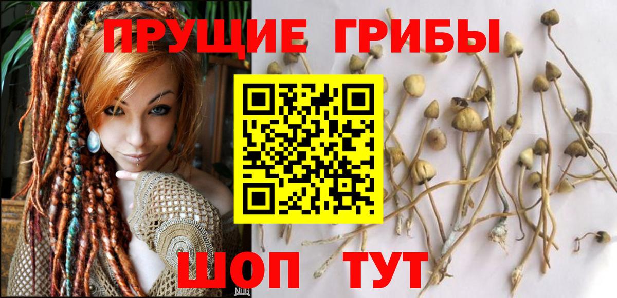 Меф МЯУ МЯУ   Коряжма  КОКАИН  Вход с VPN  МАРИХУАНА  ЭКСТАЗИ  НБОМе  Бошки Шишки  КОКАИН 
